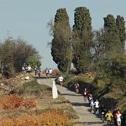 web_DSC_0029